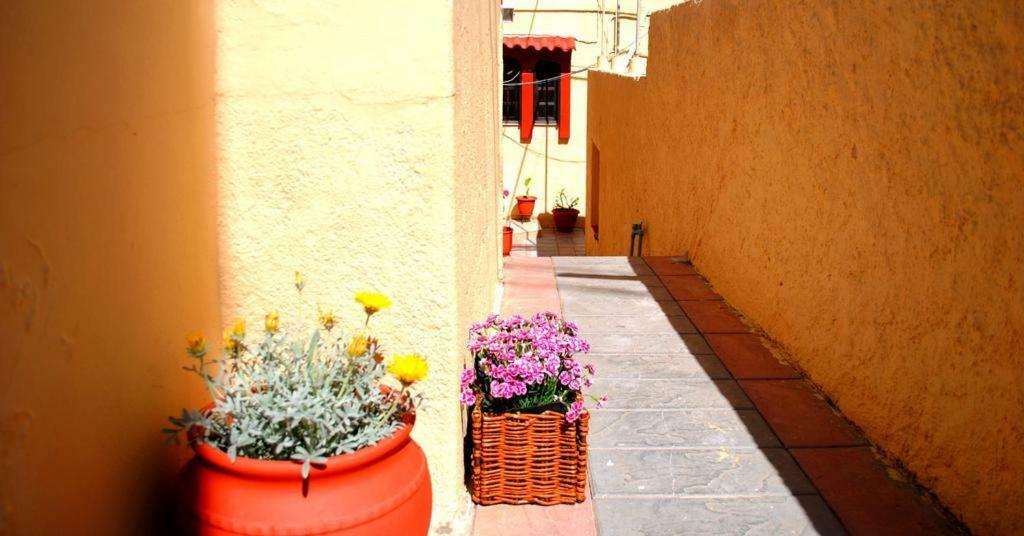 Garden Appartement Koskinou (Rhodes)